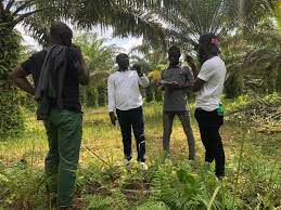 Trado Global Limited