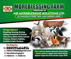 MoreBlessing Agricultural Enterprise
