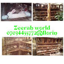 Zeerah World