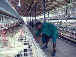 Animal Care Services Nigeria Limited