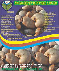 Nnobseed Enterprises Limited