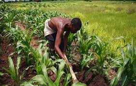 Agricultural Development Concerns