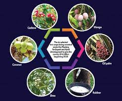 Tree Crops Development & Marketing Co. Limited