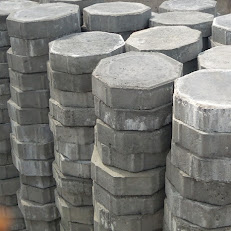 BLIS BLOCKS INDUSTRY